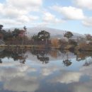 매화공원 족구장+농구장 이미지