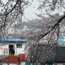 개금2동-13 이미지