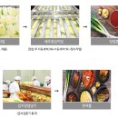 법인고원