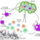 D00995 노벨사이언스