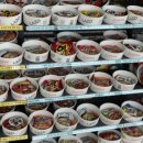 하동케이블카-하동푸드코트 이미지