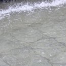 금광동 물놀이장 이미지