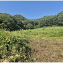 가평전원공인중개사사무소 이미지