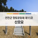 신호묘 이미지