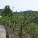 한국아그로 이미지