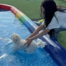 퍼피타운커피 이미지