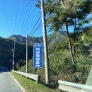 아라리조개구이 | 영월 망경대산 자연휴양림 숙소 2박3일 후기