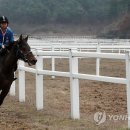 서진레저산업