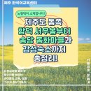 제주스카이캐슬풀빌라 | 제주도 동쪽 여행, 함덕 가볼만한곳 &amp; 가성비 감성 펜션 추천