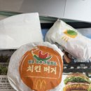 영양고추유통센터 | 맥도날드 진주 고추 크림치즈 치킨 버거 솔직 후기 (가격, 영양정보, 맛)