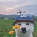 힐링(카페) 코스 이미지