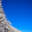 하늘아래목장 이미지