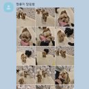 개러리아 송파점 이미지