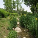 서울숲2 이미지