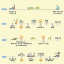 코타 키나발루 가이드맨 이미지