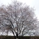 세븐일레븐 신북IC점 | 가끔 하는 캠핑 #16 결국 백로주