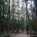 백로사우나 이미지