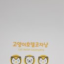 고양이호텔코자냥 이미지