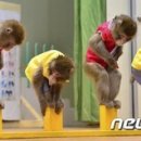 날마펜션 이미지