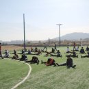 부룡체육관 네이버블로그