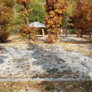 영주호오토캠핑장 이미지