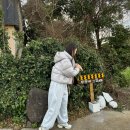 무릉리 그집 이미지