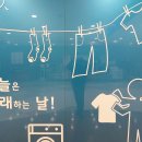 세탁하는날 이미지