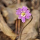 토영이야~길(2코스-미륵도길) 이미지