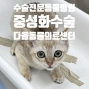송 동물의료센터 이미지