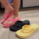 썬플랫폼 이미지