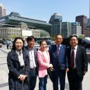 코스모스악기 이미지