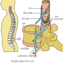 새롬의원 이미지