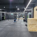 박스 더 영월 이미지