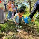 늘푸른나무어린이집 이미지