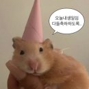 중부대로681번길 이미지