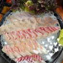 탐나종합어시장신림녹두거리점 | 가성비 좋고 싱싱한 신림동 횟집 탐나종합어시장 추천!