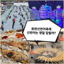 화천초등학교 | 화천산천어축제 과연 산천어는 정말 잡힐까? 개막일 솔직 후기