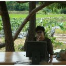 가락농장 이미지