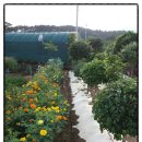 진승농장 이미지