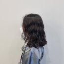 바미살롱 이미지