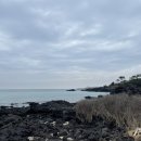 금갈치은고등어 이미지