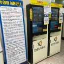 광덕체육관 | 안산 호수 공원 실내수영장 일요일 자유수영 후기
