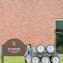 대만 여행 카발란 위스키 양조장 한국어 투어, 기념품샵 후기