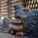 수석농장 이미지