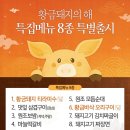 오리와황금돼지