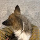 일공이오 | [임신일기]부모님 임밍아웃 이벤트 후기💛(임밍아웃 이벤트 선물상자, 아기양말 등)
