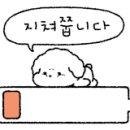 카나이스 이미지
