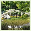 흥정리 | [평창 흥정계곡] 여름휴가지 강원도여행 물놀이명소 흥정계곡 명당자리 캠핑장 추천 주차자리