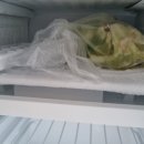 페리아902오션뷰키즈가족펜션 이미지