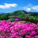 소백산 Daum카페